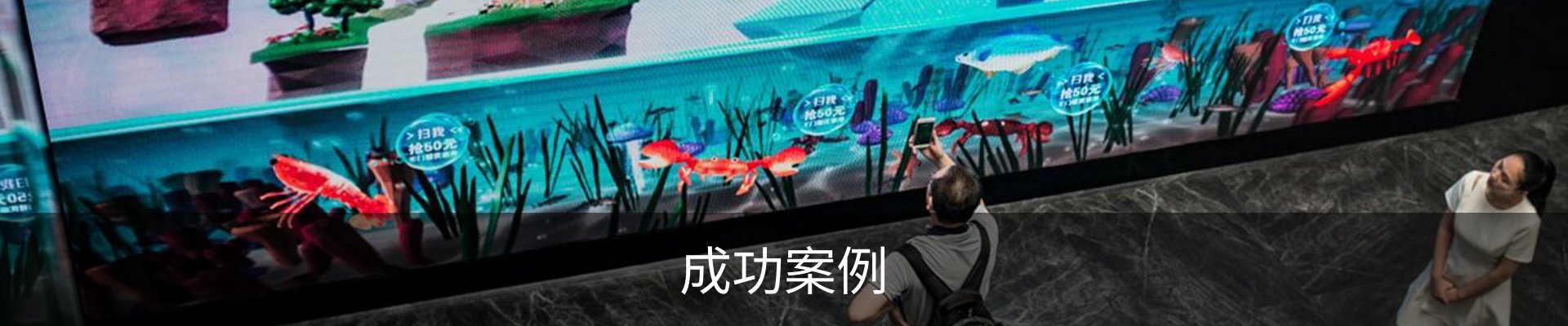成功案例